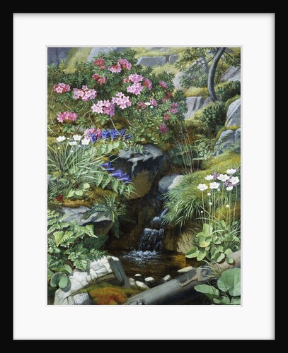 Alpine Flowers by a Stream by Otto Diderich Ottesen
