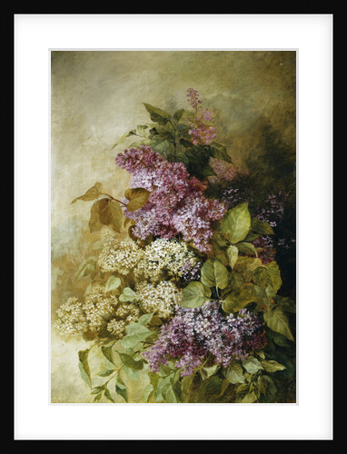 A Study of Lilac by Claude Massmann