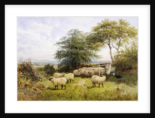 Changing Pastures by George Shalders
