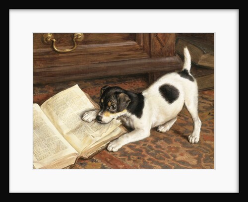 The Tearaway by Frank Paton