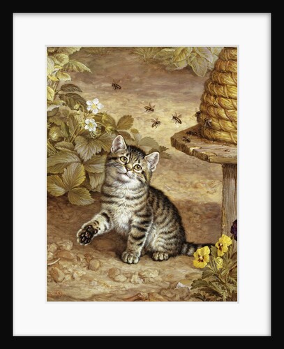 A Curious Kitten by Frank Paton