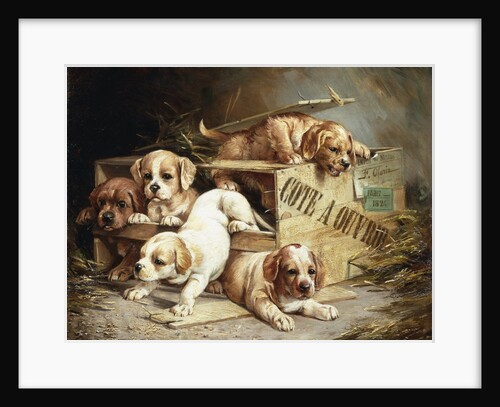 Tumbling Retriever Puppies by Frederico Olaria