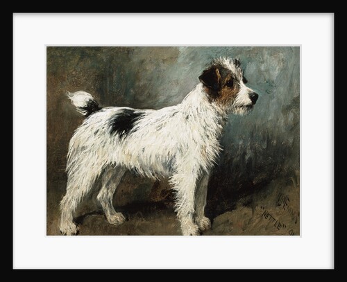 A Portrait of Nettle, A Terrier by John Emms