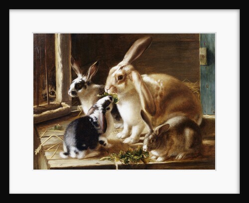 A Curious Spectator by Thomas Valentine Garland