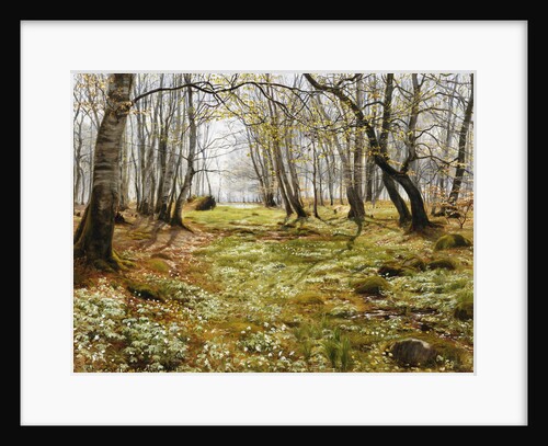 Springtime by Christian Zacho