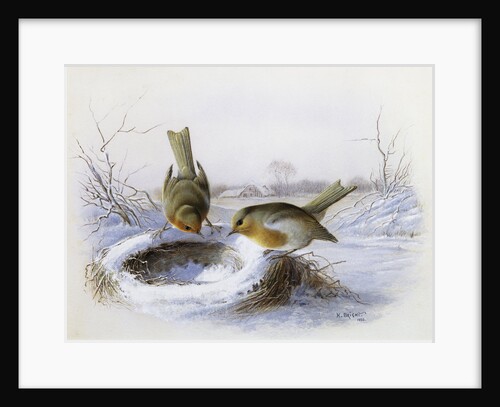 Last Year's Nest by Harry Bright