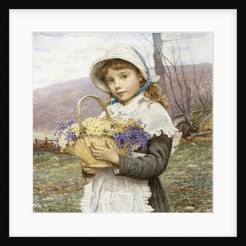 Spring Flowers by Edwin Bale