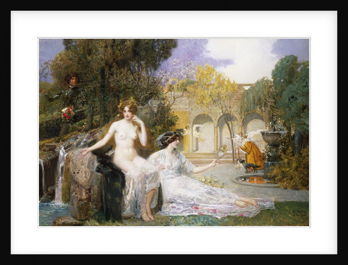 The Fountain of Youth by Edouard Veith