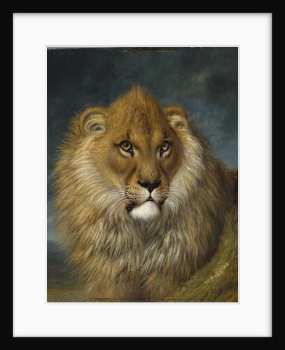 He Who Dares by William Huggins