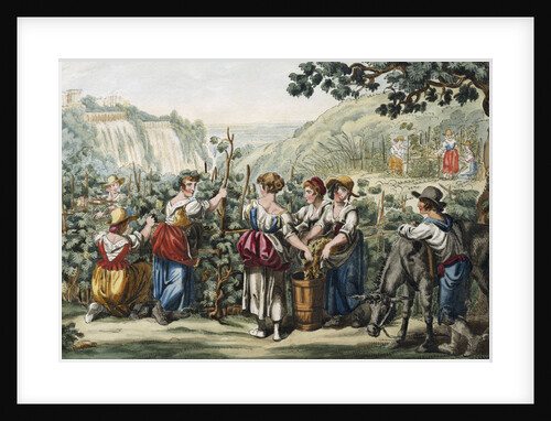 The Grape Harvest by Bartolomeo Pinelli