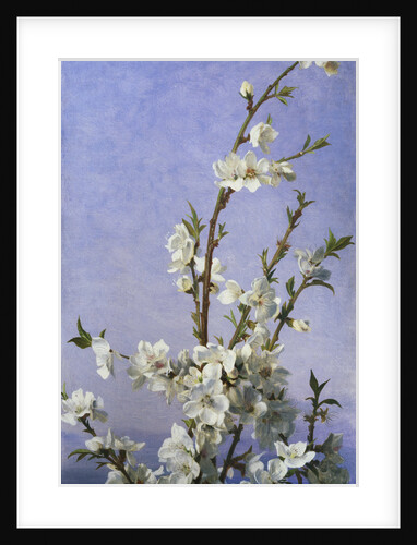 Blossom by Sophie Anderson