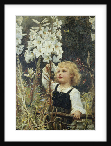 Lilies by Frederick Morgan
