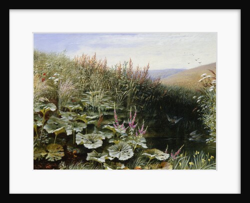 On the Riverbank by Robert Collinson