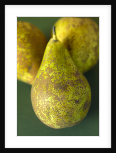 Conference Pears by Anonymous
