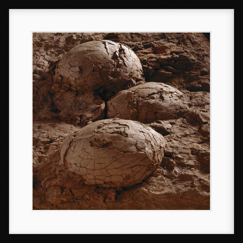 Dinosaur Eggs by Anonymous