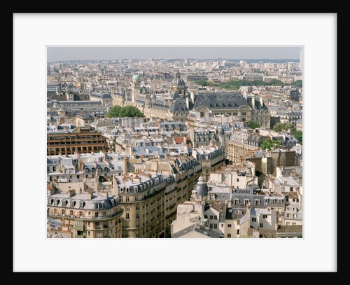 Paris as Seen from Notre Dame by Anonymous