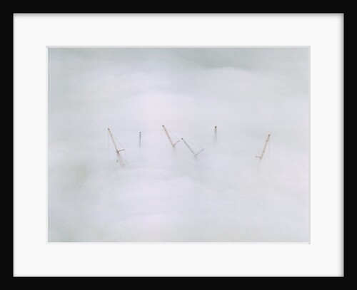 Cranes in Fog by Anonymous