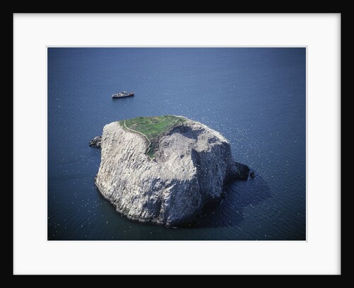 Bass Rock by Anonymous