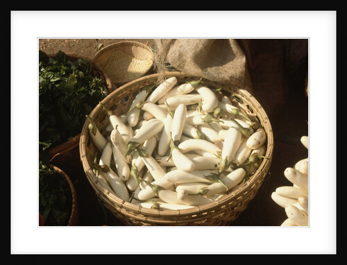 Basket of White Eggplants at the Market by Anonymous