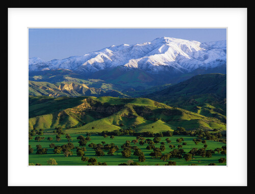 Mountains at Los Padres National Forest by Anonymous