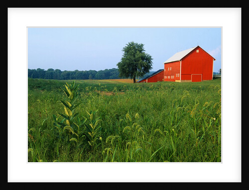 Red Barn in Green Field by Anonymous