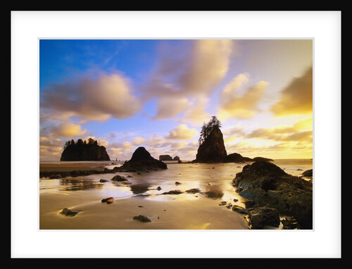 Sea Stacks Off Second Beach by Anonymous