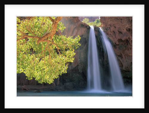 Havasu Falls by Anonymous