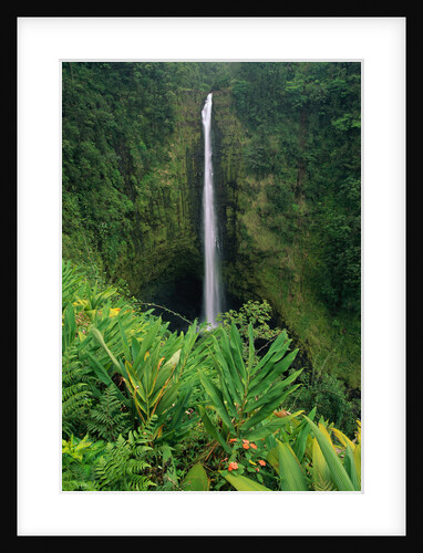 Akaka Falls by Anonymous