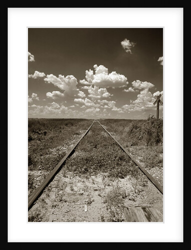 Old Railroad Tracks by Anonymous