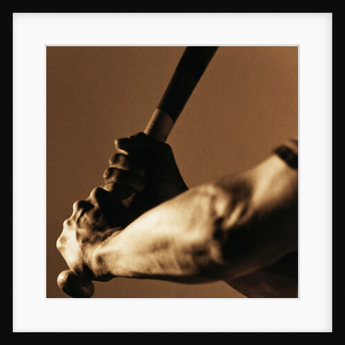 Bat in Batter's Hands by Anonymous