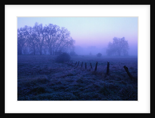 Meadow in the Morning Mist by Anonymous