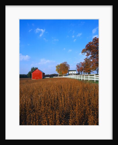 Farm in Autumn by Anonymous