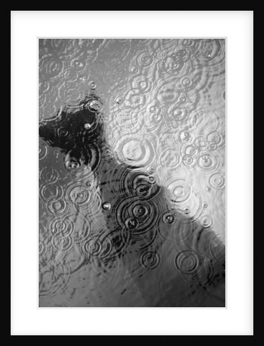 Raindrop Ripples on Fish Underwater by Anonymous