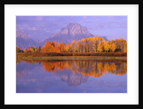 Oxbow Bend Reflecting Mount Moran by Anonymous