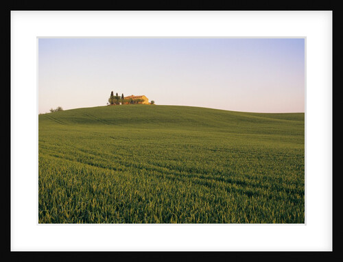 House on Grassy Hill by Anonymous