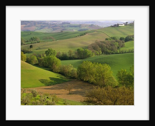 Countryside in Val d'Orcia by Anonymous