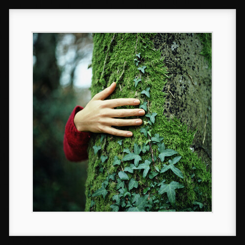 Tree Hugger by Anonymous