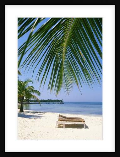 Deck Chairs on Beach by Anonymous