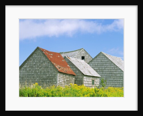 Row of Old Shingle Barns in Field by Anonymous