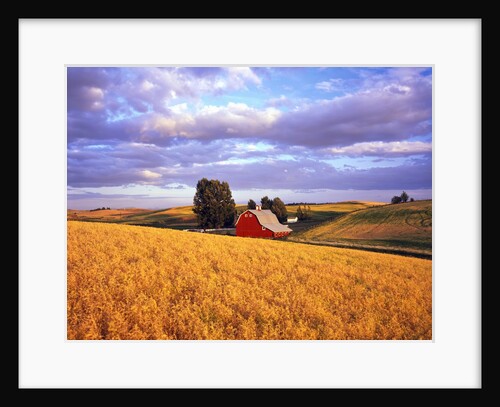 Barn Surrounded by Fields by Anonymous