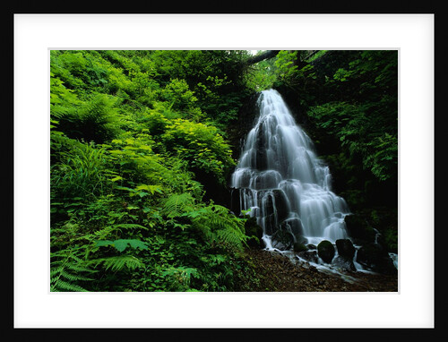 Fairy Falls by Anonymous