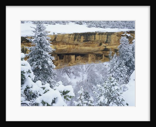 Snow Blankets Spruce Tree House Anasazi Cliff Dwelling at Mesa Verde National Park by Anonymous