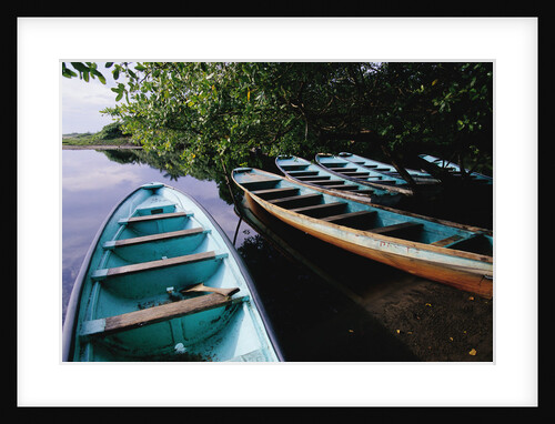 Tour Boats Moored in Ventanilla Lagoon by Anonymous