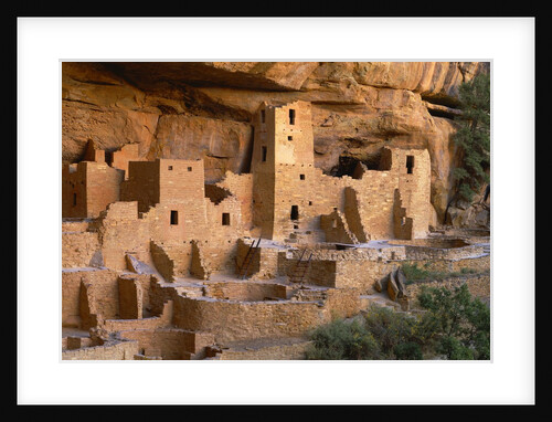 Cliff Palace by Anonymous