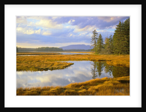 Bass Harbor Marsh and Western Mountain by Anonymous