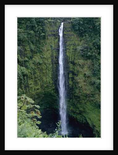 Akaka Falls by Anonymous