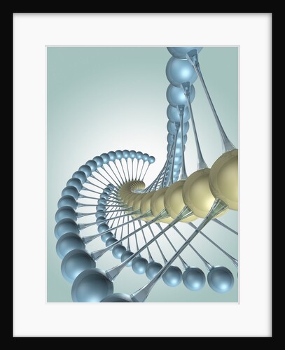 Chain of Molecules by Anonymous