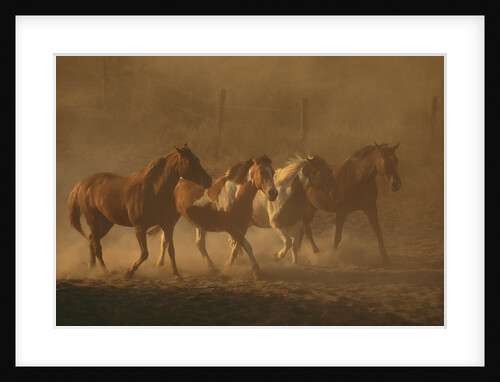 Herd of Horses by Anonymous