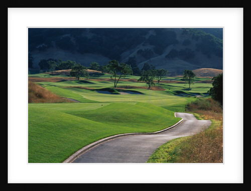 Cartpath Alongside a Fairway by Anonymous