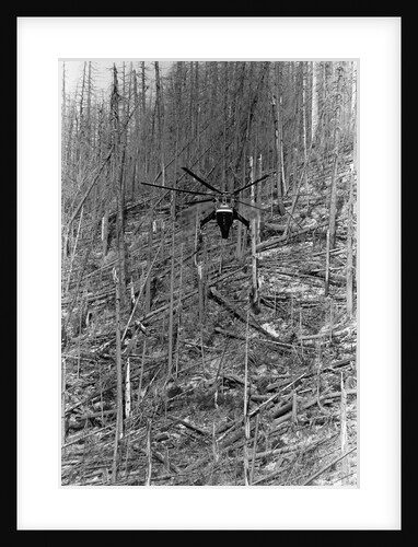 Helicopter Removing Fallen Trees by Anonymous